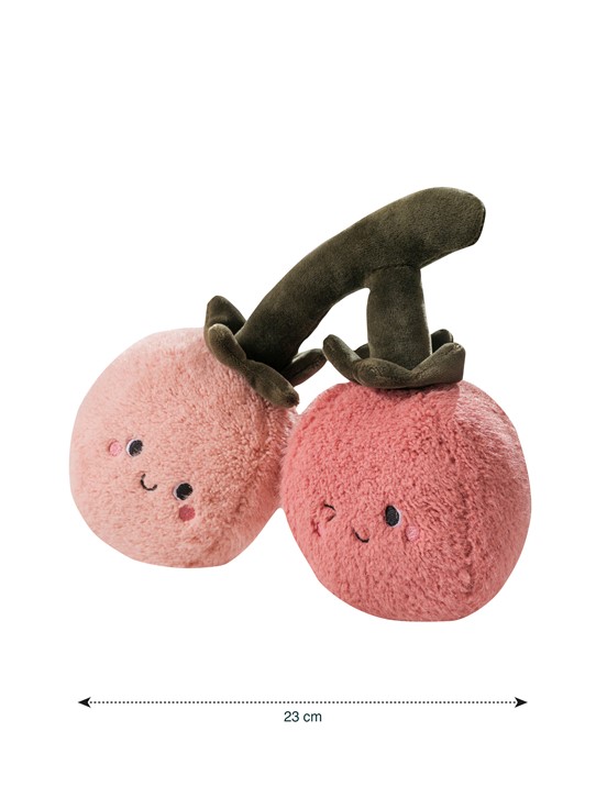 Bebek Kırlent GÜL KURUSU