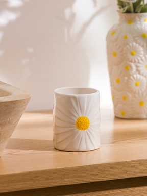 Diş Fırçalık KARIŞIK