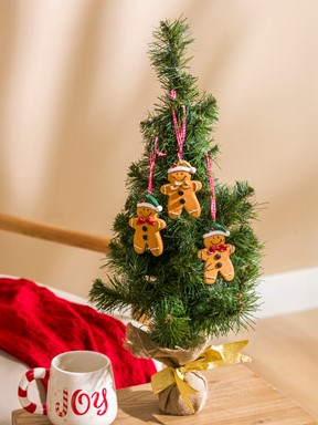 Yılbaşı Süsü KARIŞIK