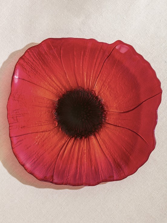 Pasta Tabağı KIRMIZI