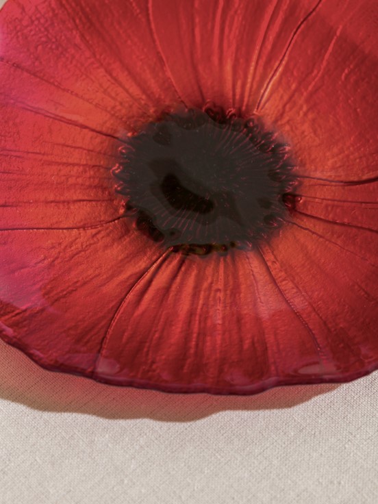 Pasta Tabağı KIRMIZI