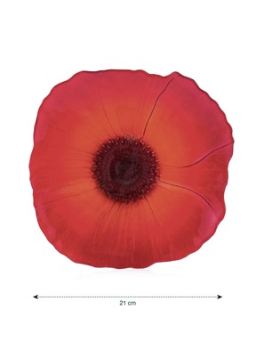 Pasta Tabağı KIRMIZI