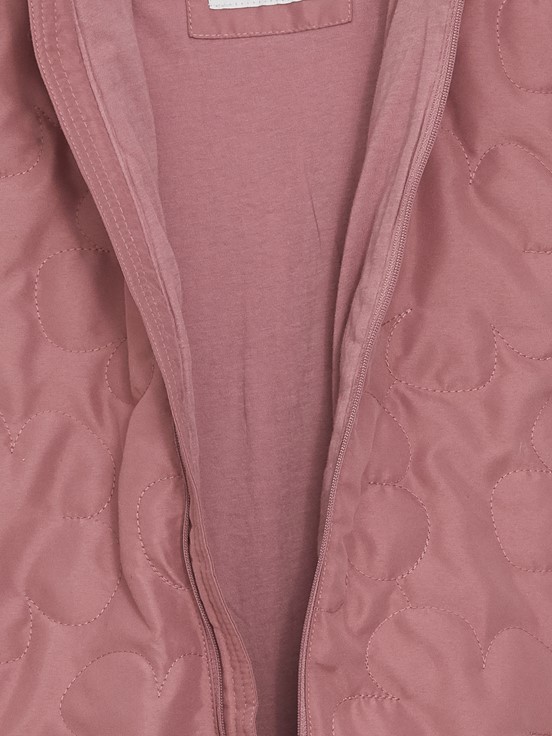 Astronot Mont GÜL KURUSU