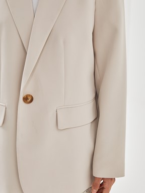 Blazer Ceket TAŞ