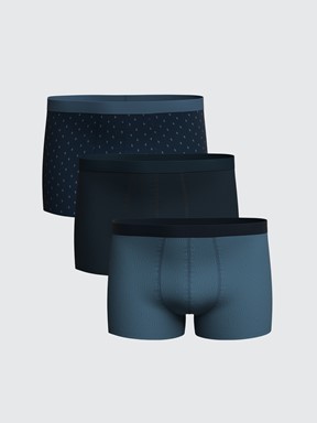 Boxer MAVİ BASKILI