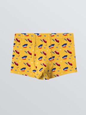 Boxer ORTA SARI BASKILI