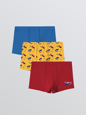 Boxer ORTA SARI BASKILI