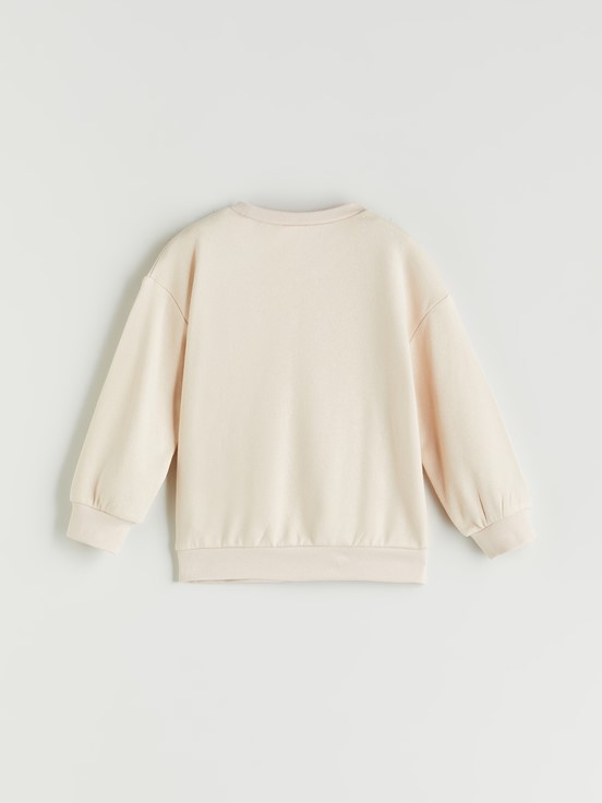 Sweatshirt TEN RENGİ