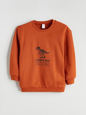 Sweatshirt AÇIK GRİ