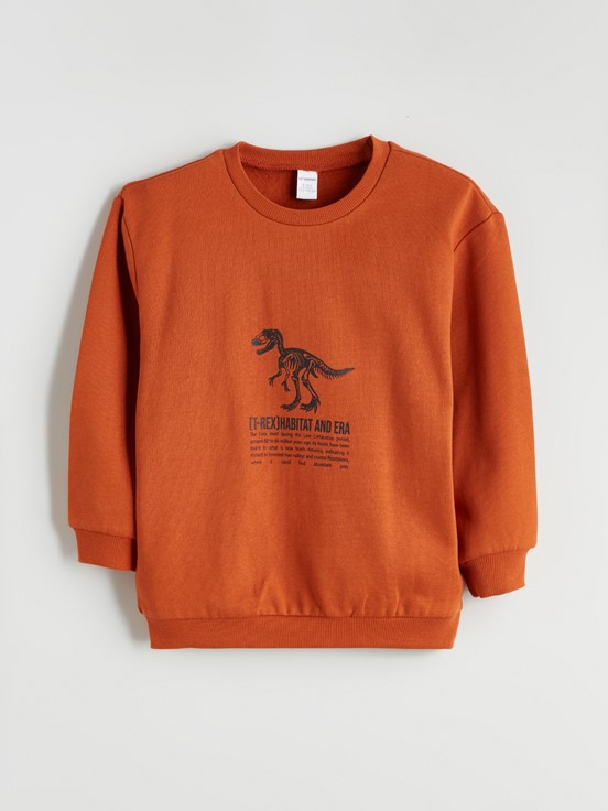 Sweatshirt AÇIK GRİ