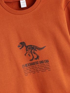 Sweatshirt AÇIK GRİ