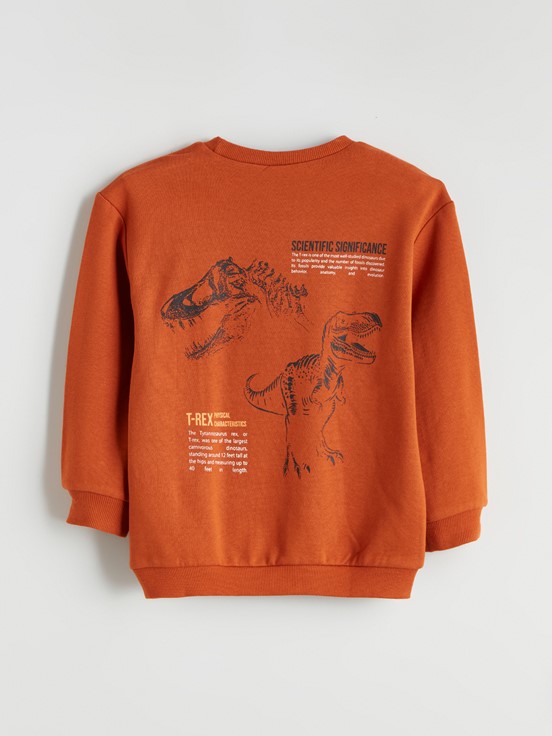 Sweatshirt AÇIK GRİ