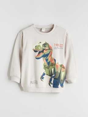 Sweatshirt AÇIK GRİ