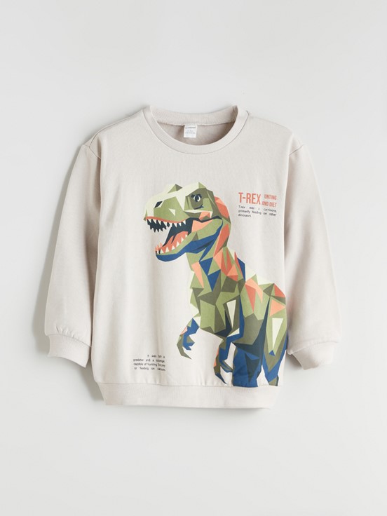 Sweatshirt AÇIK GRİ