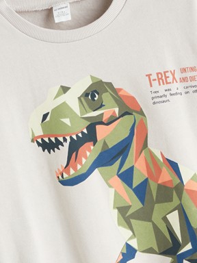 Sweatshirt AÇIK GRİ