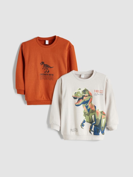 Sweatshirt AÇIK GRİ