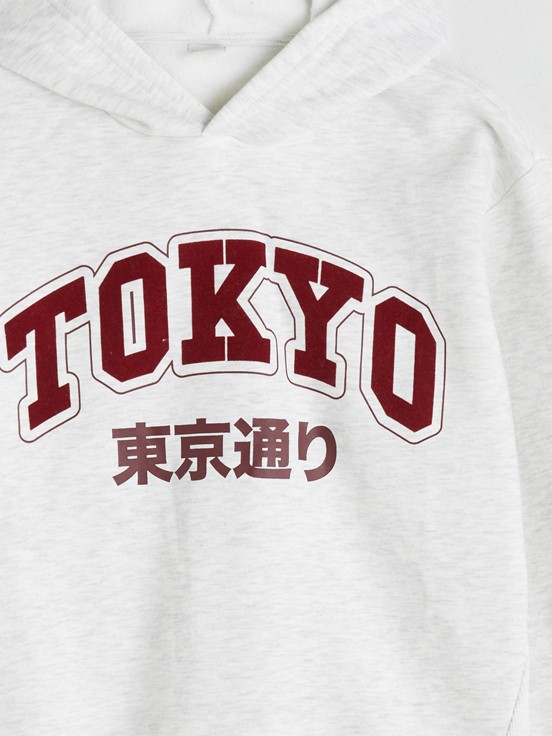 Sweatshirt AÇIK GRİ MELANJ