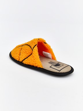 Nakışlı Erkek Çocuk Pelüş Ev Terliği KARIŞIK