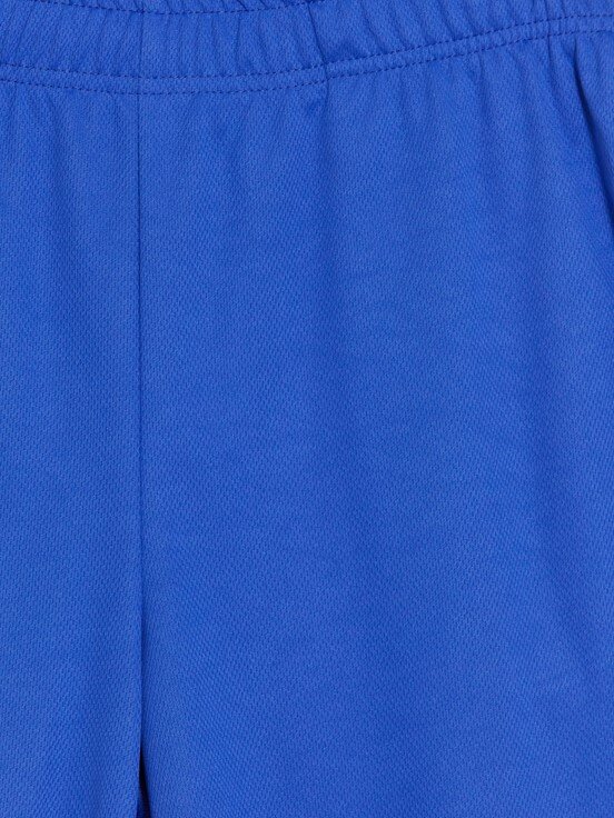 S6R774Z8 ELEKTRİK BLUE