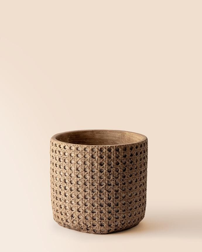 Kahverengi Liana Saksı 17cm | Shopointcy | SHOPOINTCY