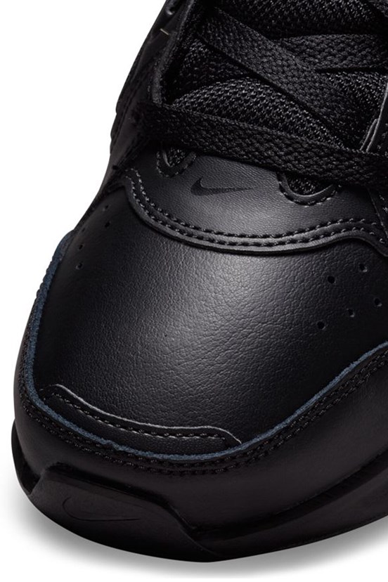 Nike Erkek Koşu Ayakkabısı
