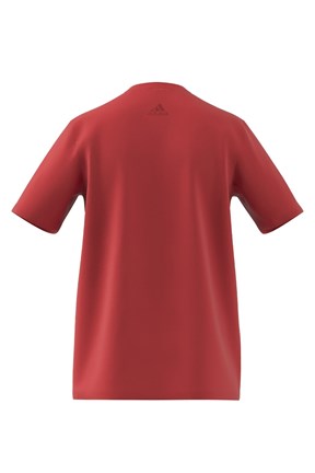 Adidas Erkek Kısa Kol T-Shirt