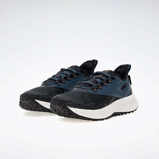Reebok Floatride Energy  Erkek Koşu Ayakkabısı