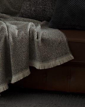 Alpagny Tv Battaniye