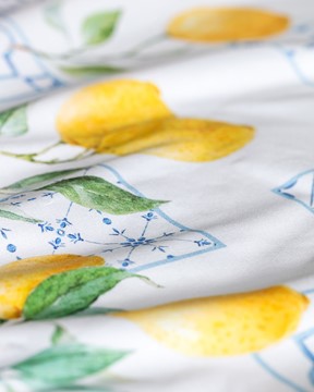 Andela Masa Örtüsü