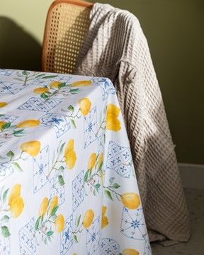 Andela Masa Örtüsü