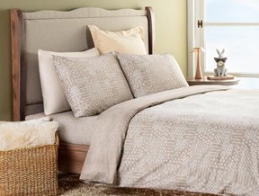 Didier Tek Kişilik Baskılı Ranforce Nevresim Takımı