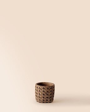 Liana Saksı 8cm
