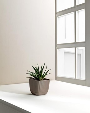 Abella Saksı 270 ml