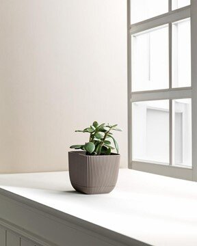 Abella Saksı 670 ml