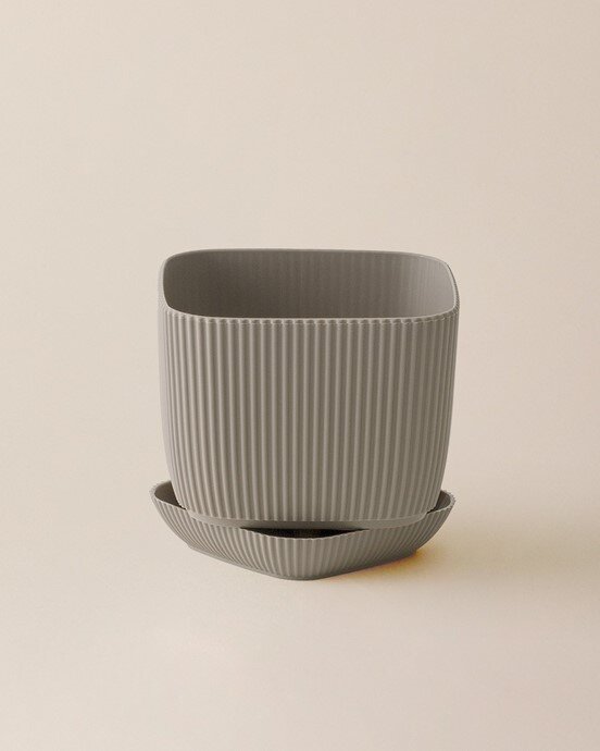 Abella Saksı 4000 ml