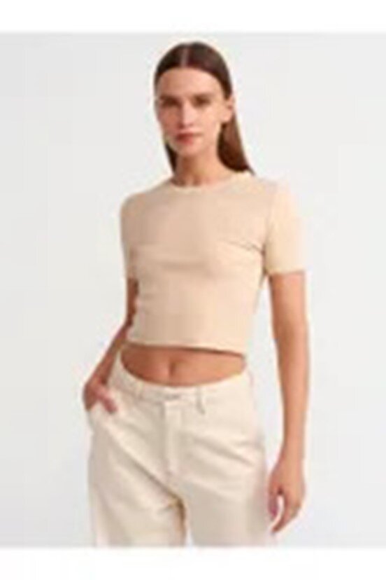 Dilvin Crop Tshirt