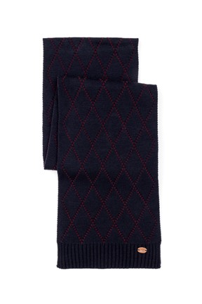 U.S. Polo Assn. Erkek Kaşkol Atkı
