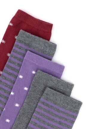 U.S. Polo Assn. Kadın Çorap
