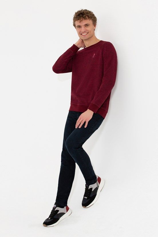 U.S. Polo Assn. Erkek Sweatshirt
