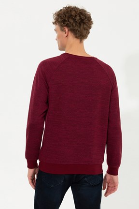 U.S. Polo Assn. Erkek Sweatshirt
