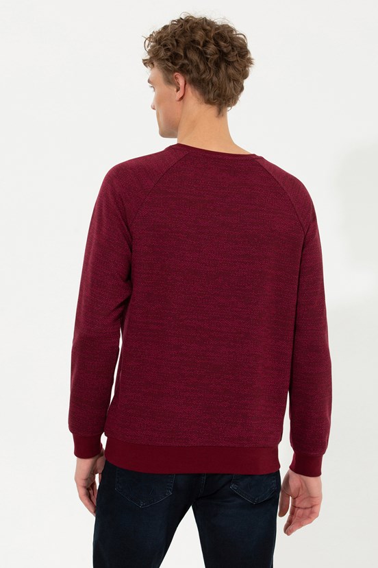 U.S. Polo Assn. Erkek Sweatshirt
