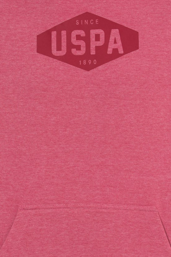 U.S. Polo Assn. Erkek Sweatshirt
