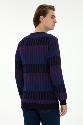 U.S. Polo Assn. Erkek Sweatshirt