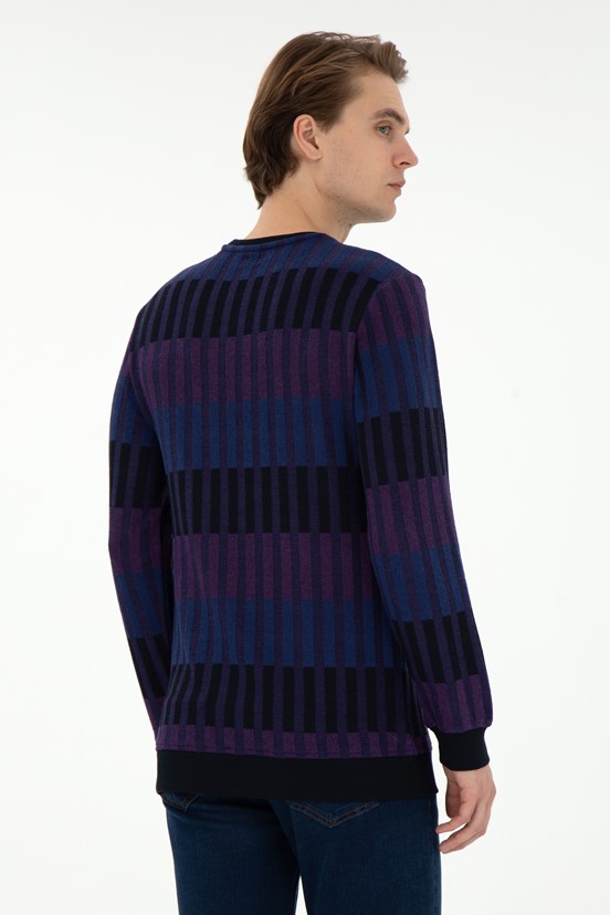 U.S. Polo Assn. Erkek Sweatshirt