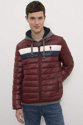 U.S. Polo Assn. Erkek Mont