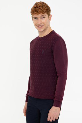 U.S. Polo Assn. Erkek Basic Triko Kazak