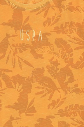 U.S. Polo Assn. Erkek Çocuk T-Shirt
