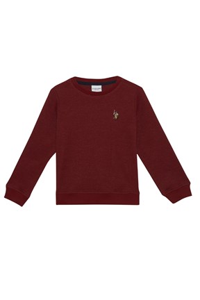 U.S. Polo Assn. Erkek Çocuk Sweatshirt