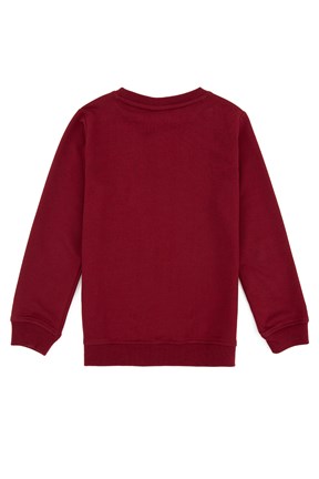 U.S. Polo Assn. Erkek Çocuk Basic Sweatshirt