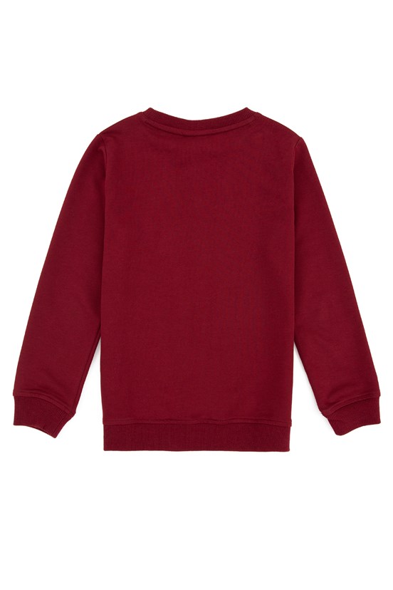 U.S. Polo Assn. Erkek Çocuk Basic Sweatshirt